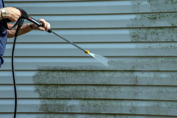 Best Roof Pressure Washing  in Pine Mountain, GA